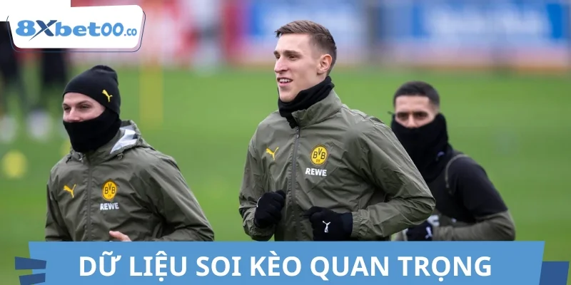 Tổng hợp các dữ liệu quan trọng khi soi kèo Đức