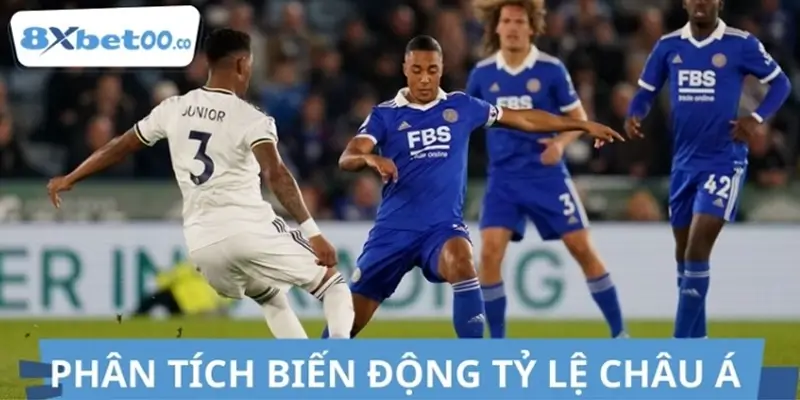 Phân tích tỷ lệ châu Á